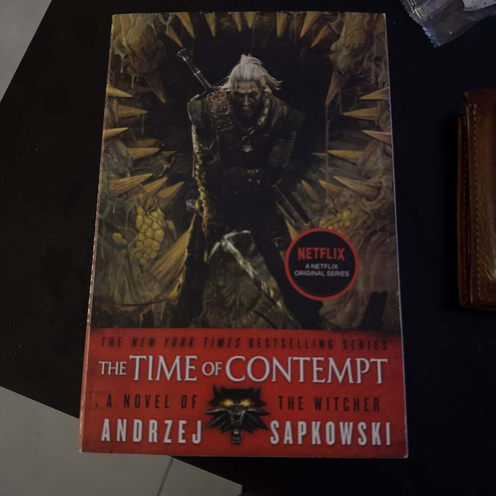 The Witcher: The Time of Contempt by Andrzej Sapkowski (Book 2)